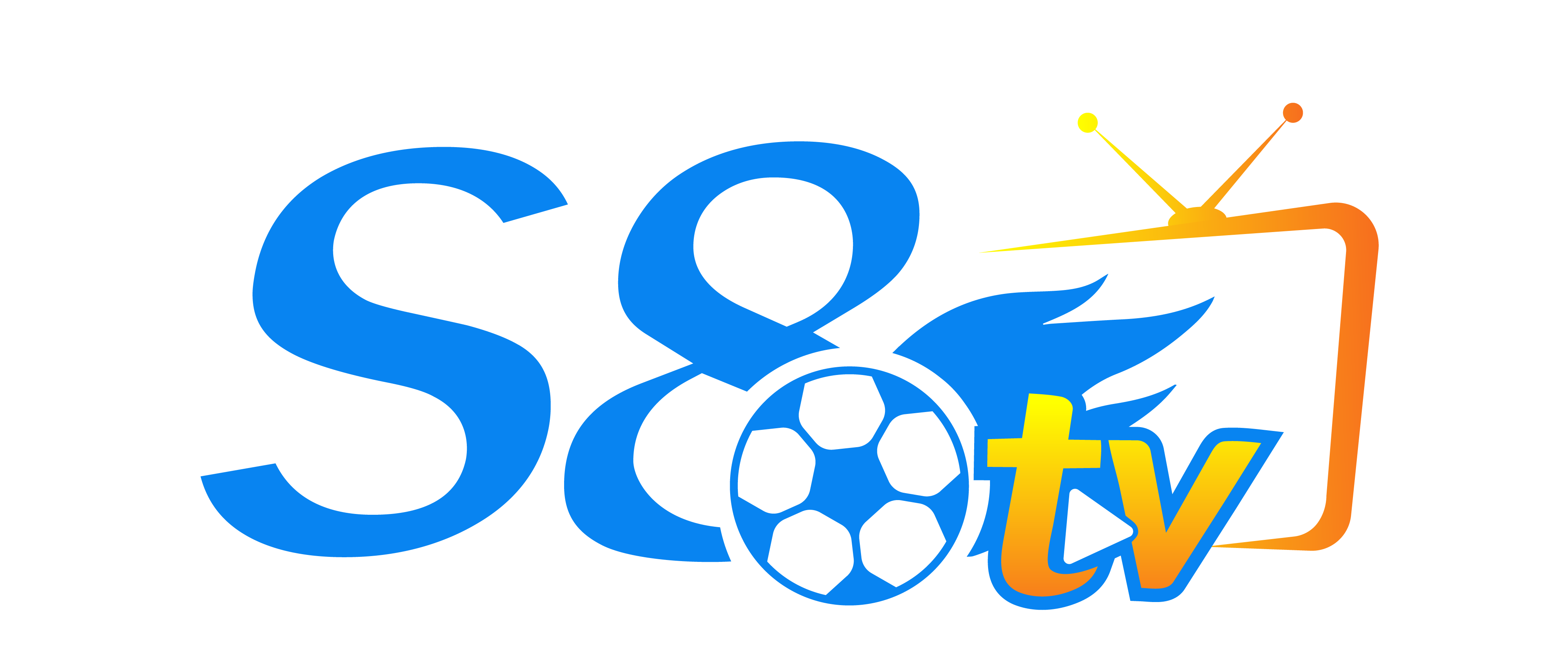 S8 logo